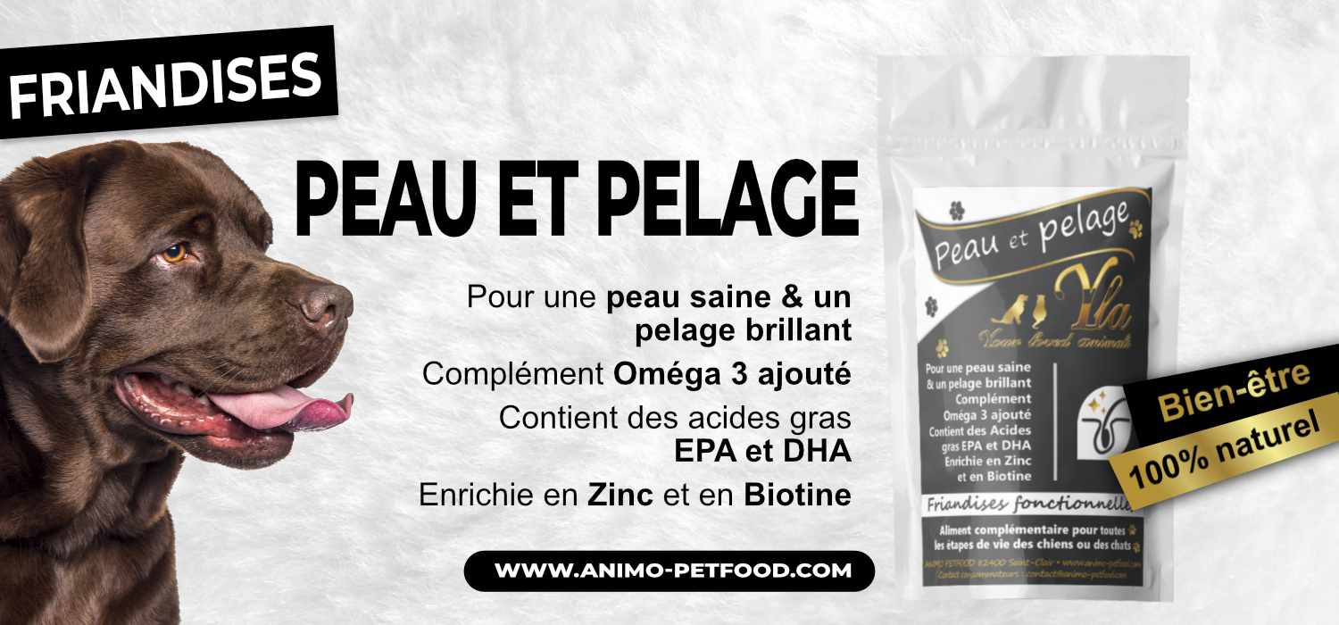 friandises-peau-et-pelage-pour-chien-et-chiot